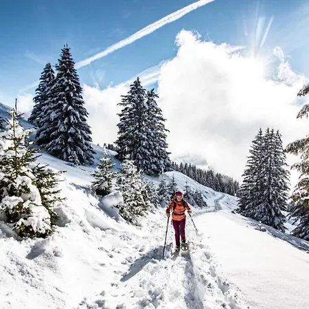 Apartment Chaumiere Des Neiges Cm1003 Cosy & Nature 4 Pers Chatel